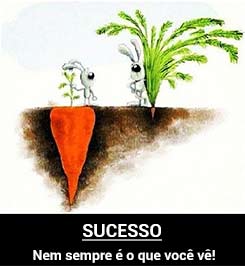 Frases de sucesso
